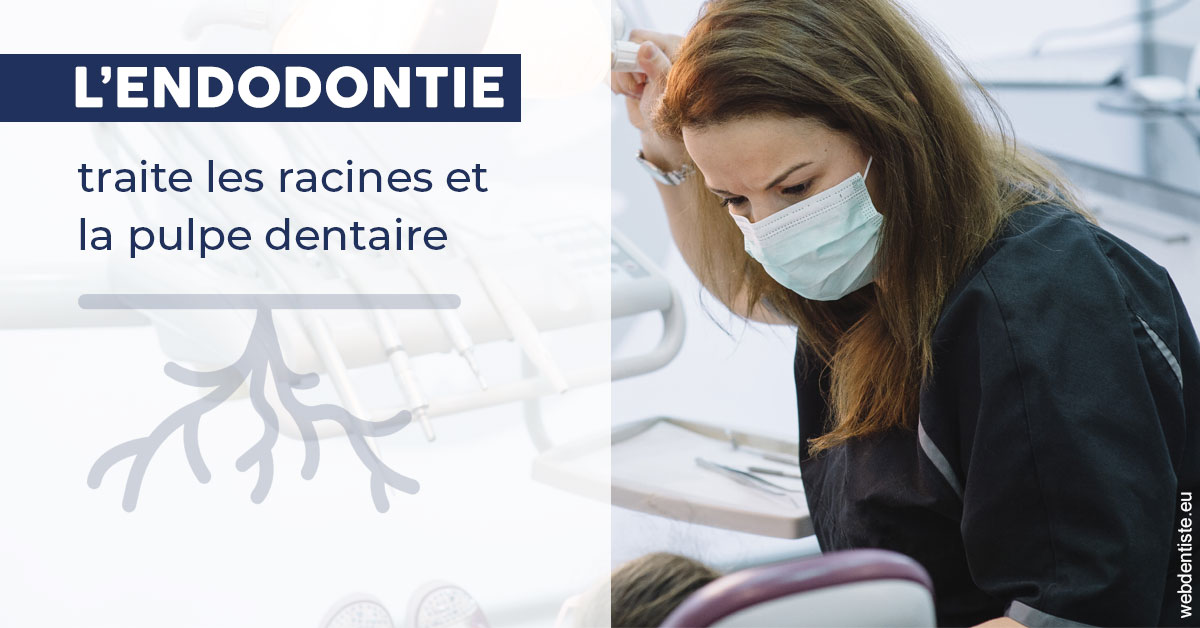 https://dr-barthelet-romain.chirurgiens-dentistes.fr/L'endodontie 1