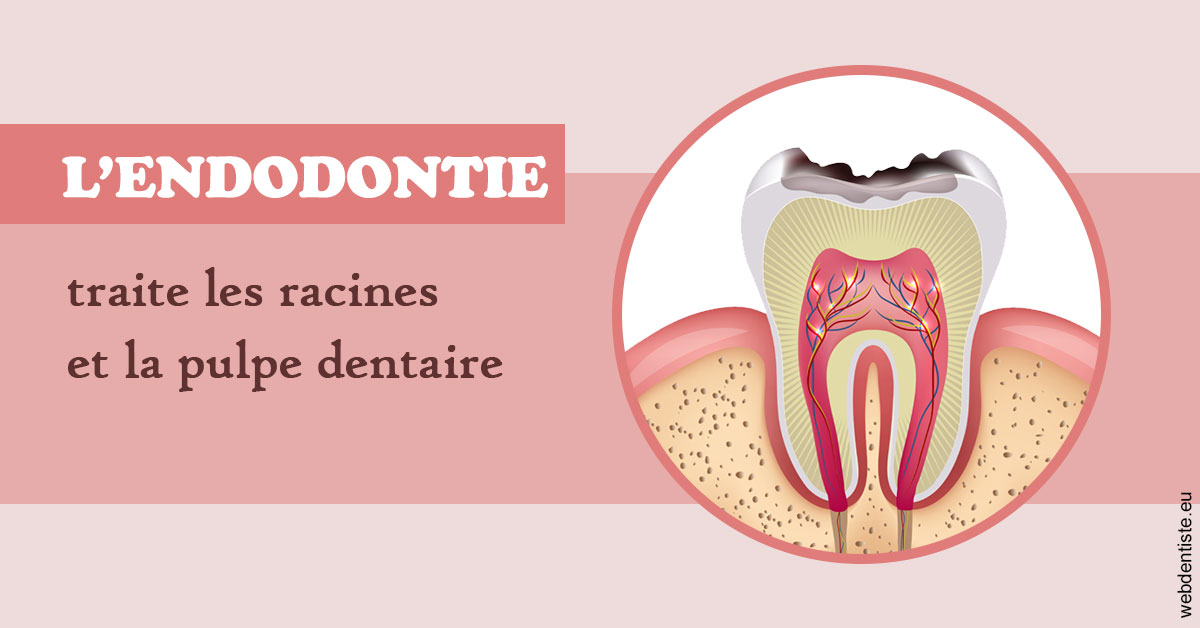 https://dr-barthelet-romain.chirurgiens-dentistes.fr/L'endodontie 2