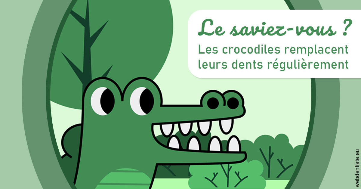 https://dr-barthelet-romain.chirurgiens-dentistes.fr/Crocodiles 2