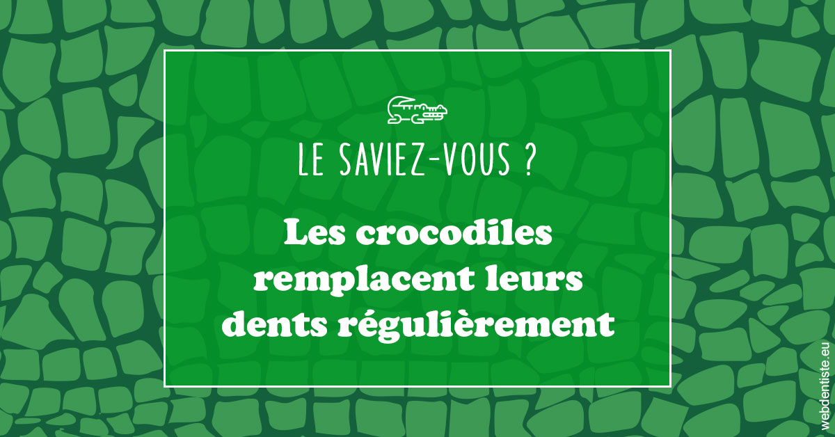 https://dr-barthelet-romain.chirurgiens-dentistes.fr/Crocodiles 1